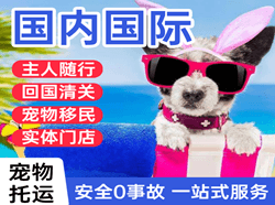 乌拉特中旗海流图航空物流国际宠物托运 【国